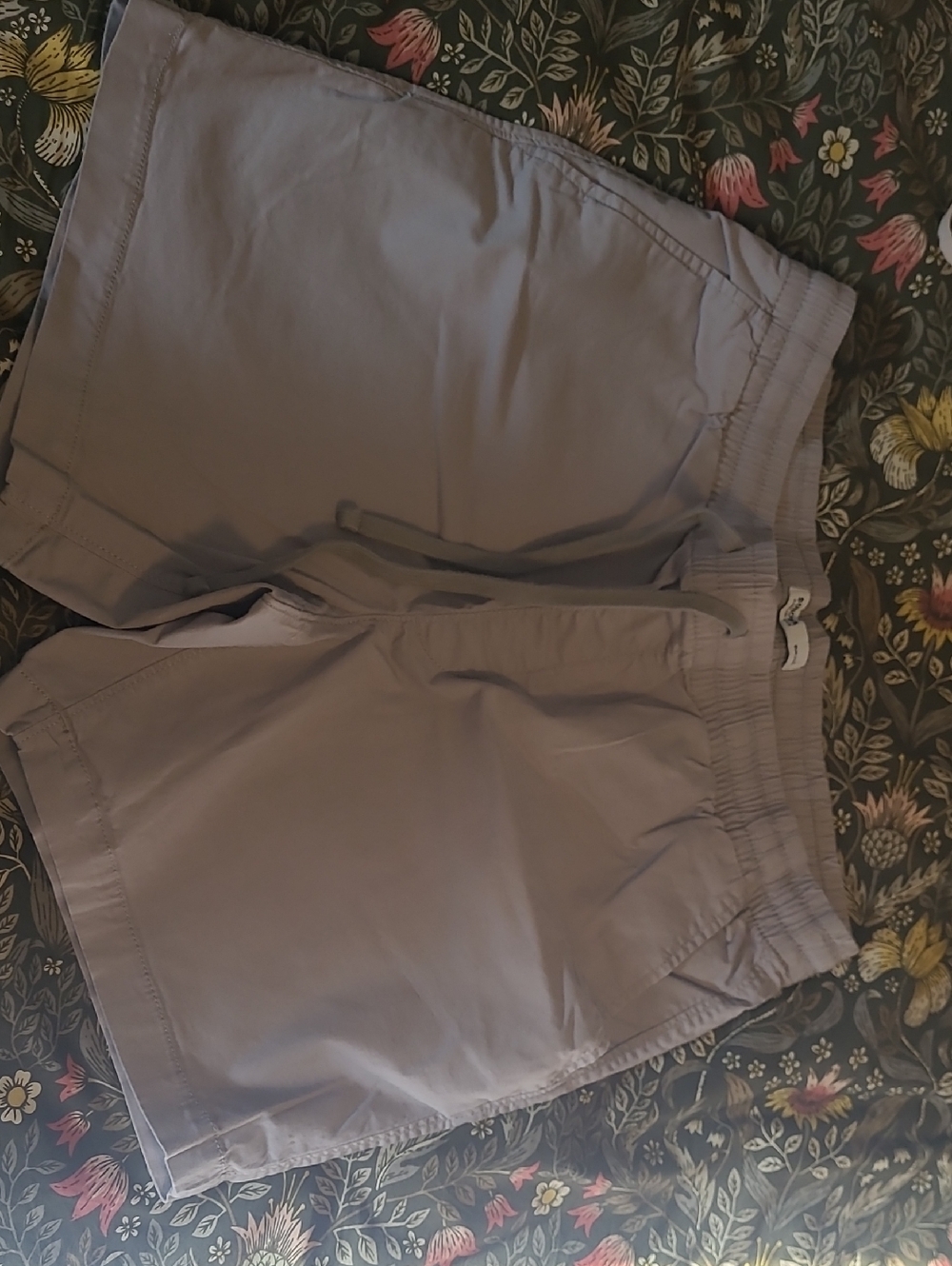 Sonoma Shorts